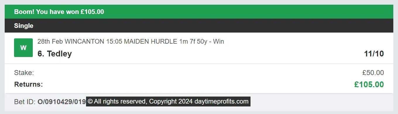 Daytime Profits - Winner 2 - 2024-02-28